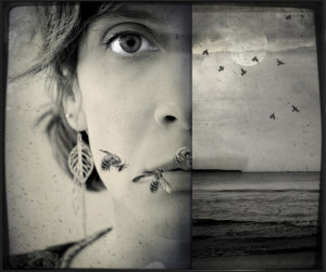 2011 Ballarat International Foto Biennale